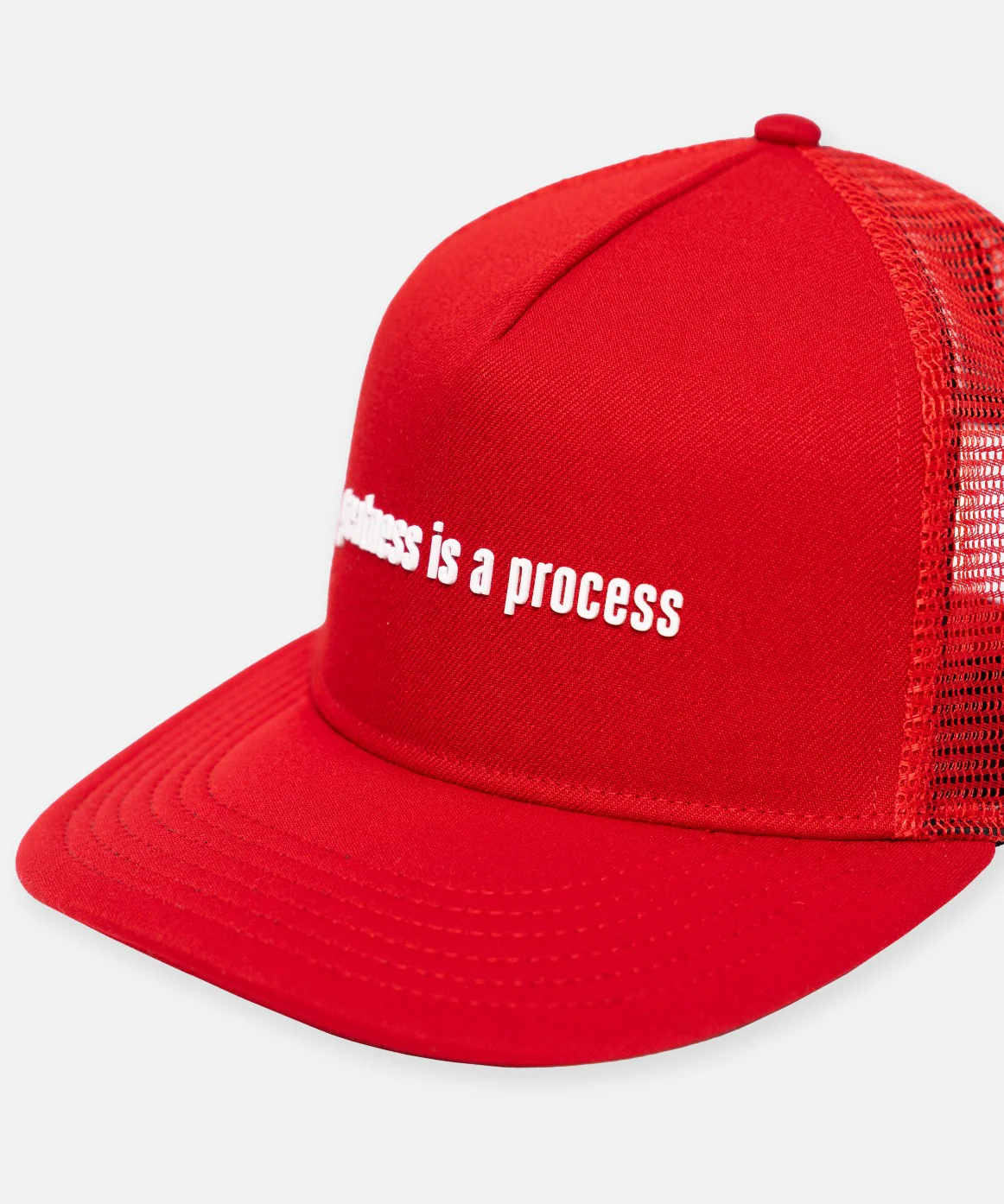 Greatness Is A Process Trucker - Image 3
