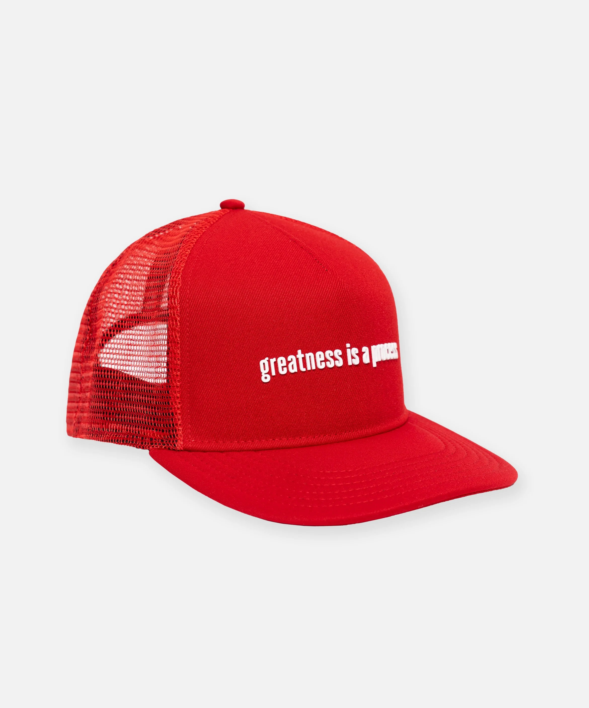 Greatness Is A Process Trucker - Image 4